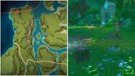 Location of Rishboland Tiger boss in Sumeru (Image via Genshin Impact)